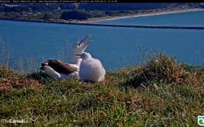 The family on Tairoa Head, Dunedin.
