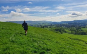 Viliata Junior Fonoti Taulago at the top of the farm he manages in Hawke's Bay.