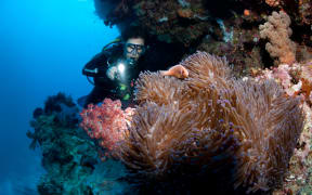 Great Barrier Reef