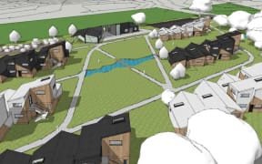 An artist's rendering of what Tuhoe's eco-village may look like. Photo supplied