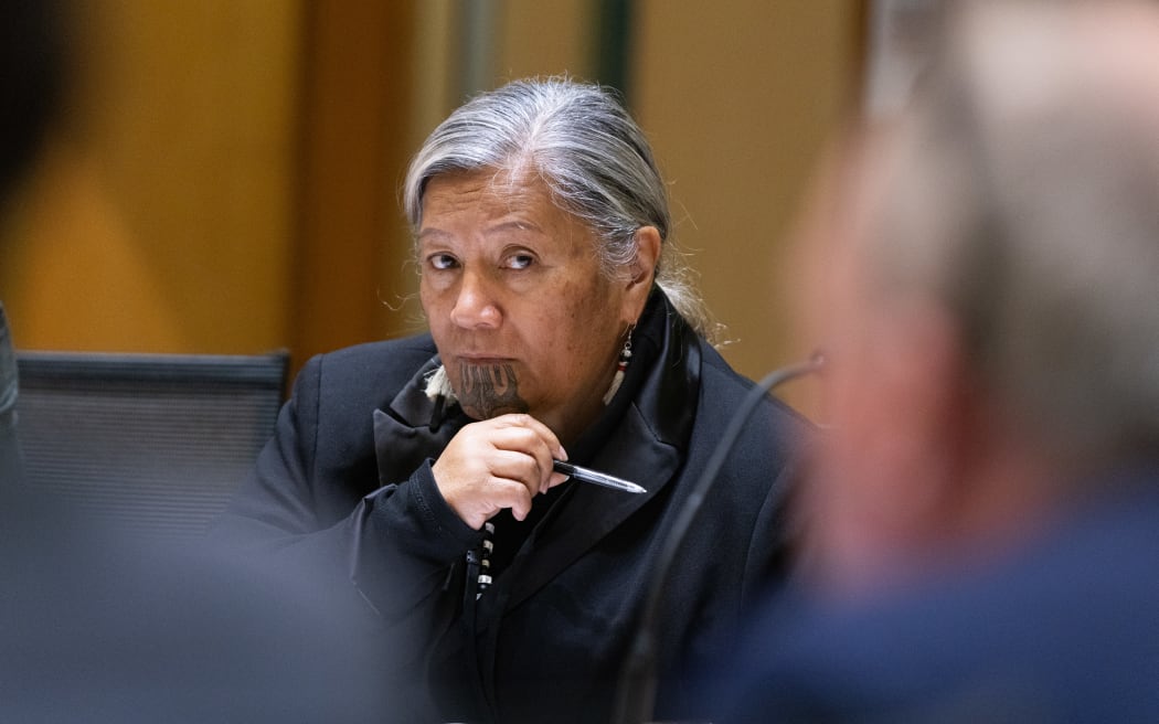 MP for Te Tai Tokerau, Mariameno Kapa-Kingi in Social Services and Community Committee hearings during Scrutiny Week.