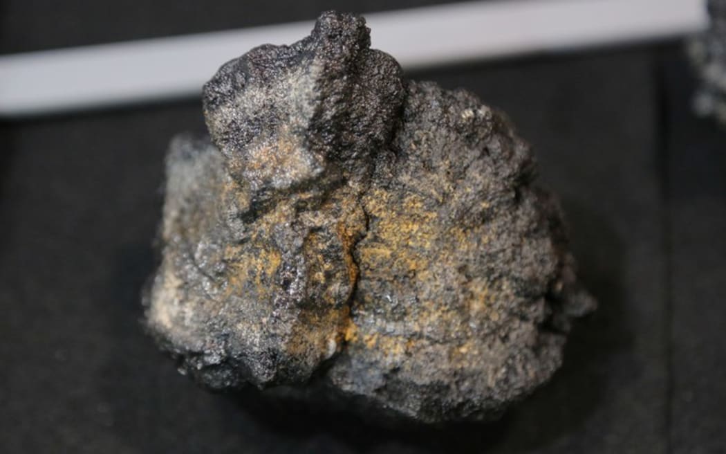 A polymetallic nodule from the seabed is displayed at a mining convention in Toronto, Canada on Mar. 4, 2019. (Chris Helgren/Reuters)