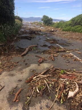 Waves damaged property on Wellington's south coast