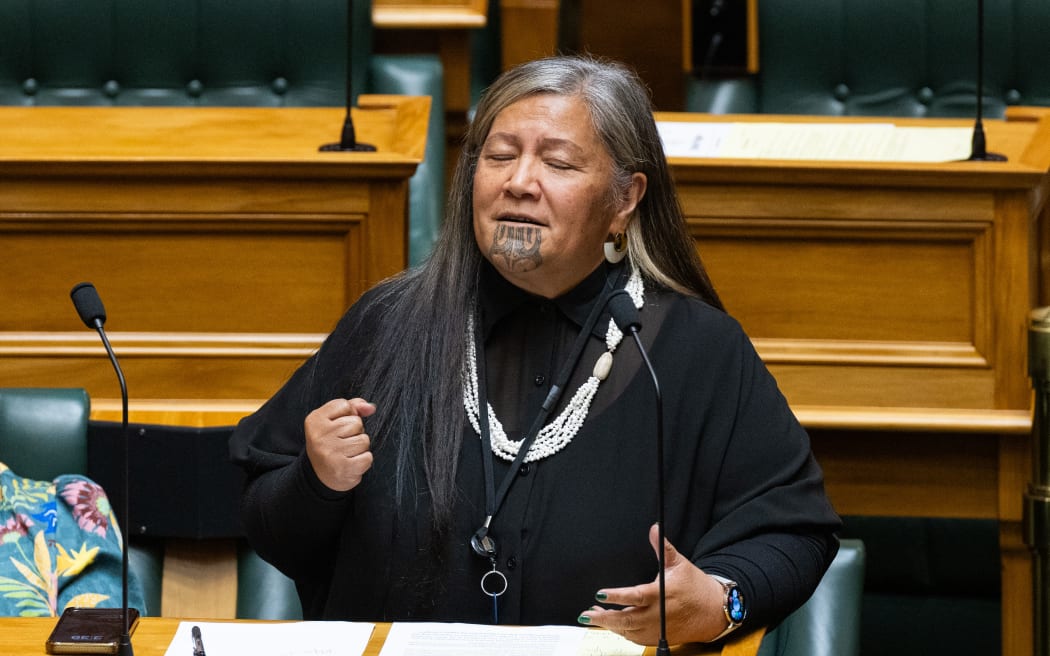 Te Pāti Māori MP, Mariameno Kapa-Kingi speaking in the House.