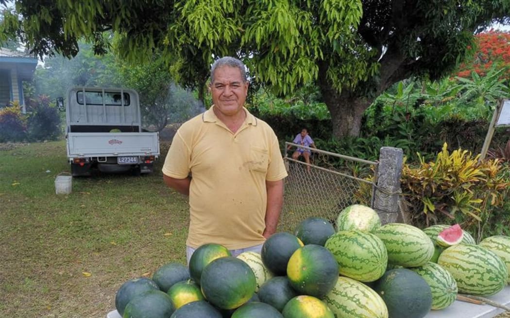 A year since the eruption, watermelon production has skyrocketed thanks to mineral rich ashfall.