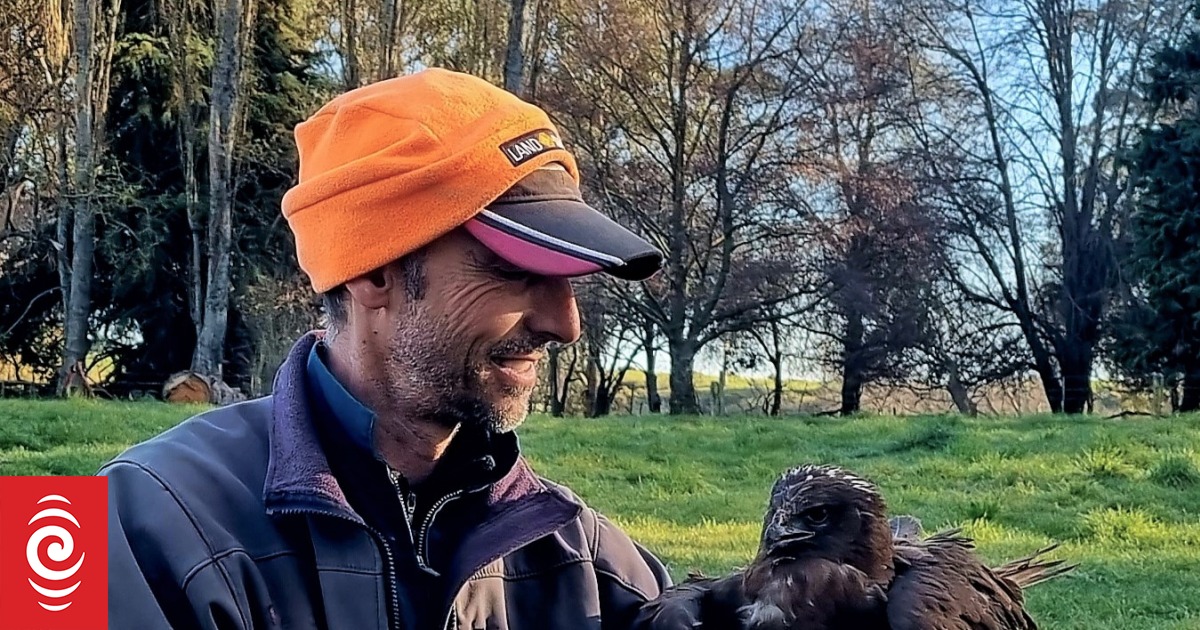 'I've been chased by wolves twice' - Timaru farmer | RNZ
