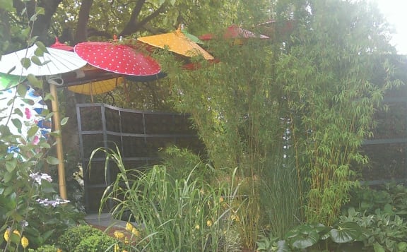 Under My Umbrella won exhibitor Ben Hoyle a Silver Distinction this year.