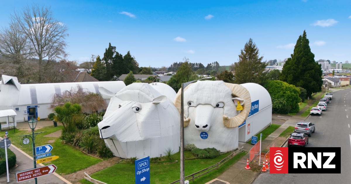 Tirau's sheepdog, ewe and ram buildings are baa-ck on the market