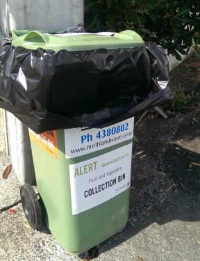 MPI has provided bins for disposing of fruit and vegetable waste.