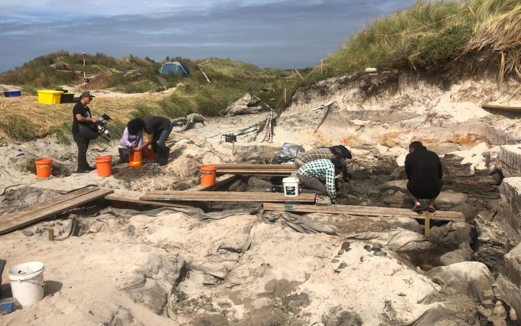 Rēkohu excavation site.