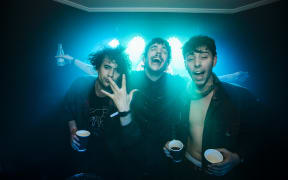 The Parrots