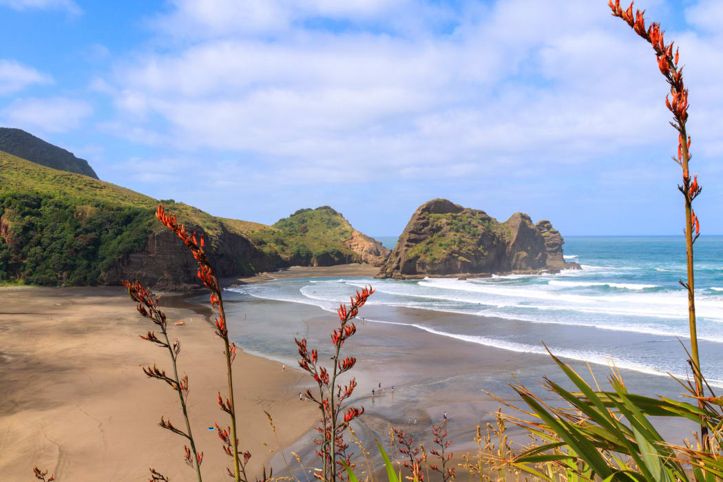 Piha Beach andTaitomo Island