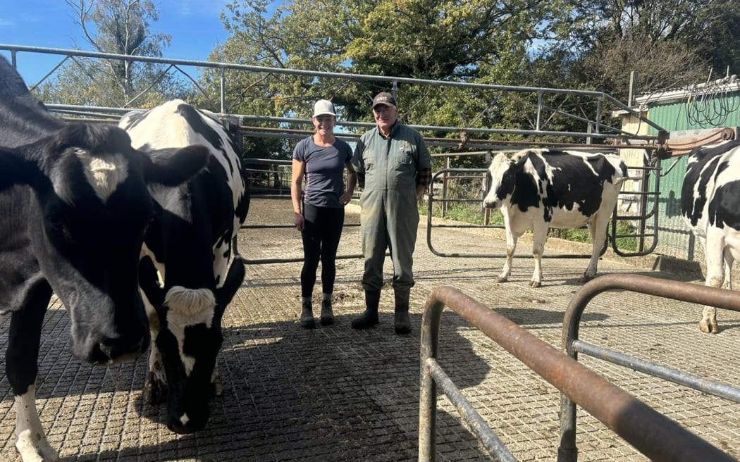 Sherraine Holsteins