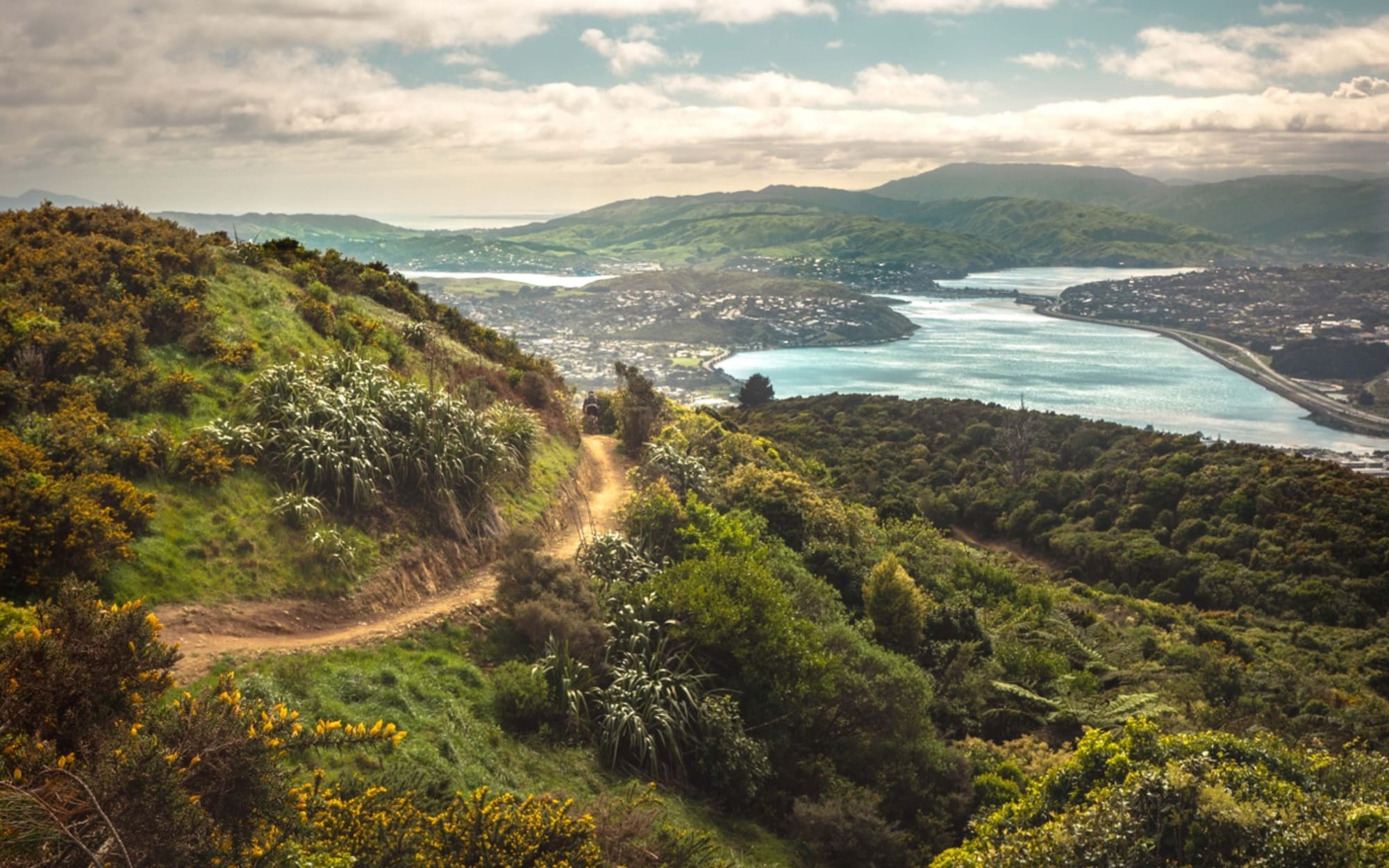 Trail at Rangituhi Colonial Knob, Porirua