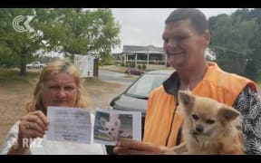 Search continues for dog missing after car crash