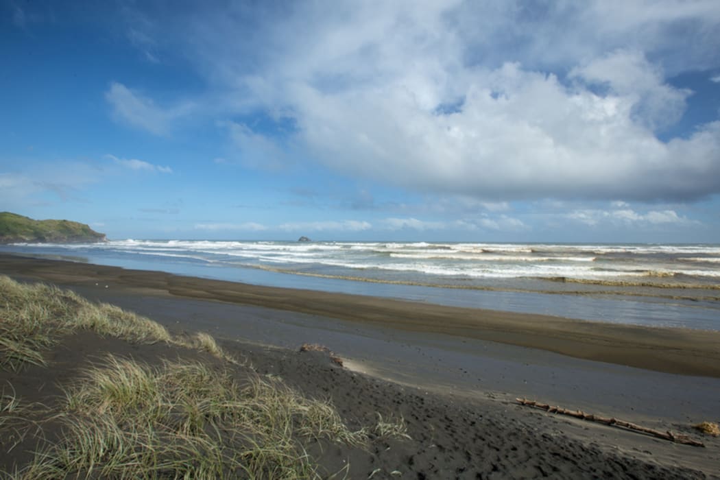 Muriwai Beach