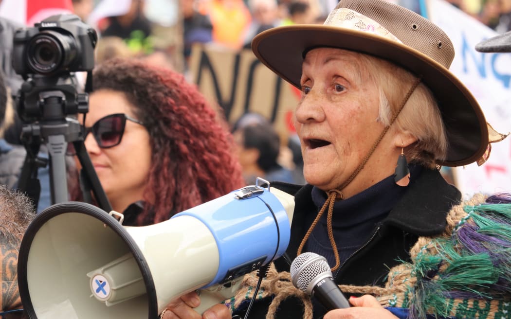 Hinerangi Cooper-Puru, daughter of the late Dame Whina Cooper, at a Significant Natural Areas protest hīkoi in Kaikohe in 2021.