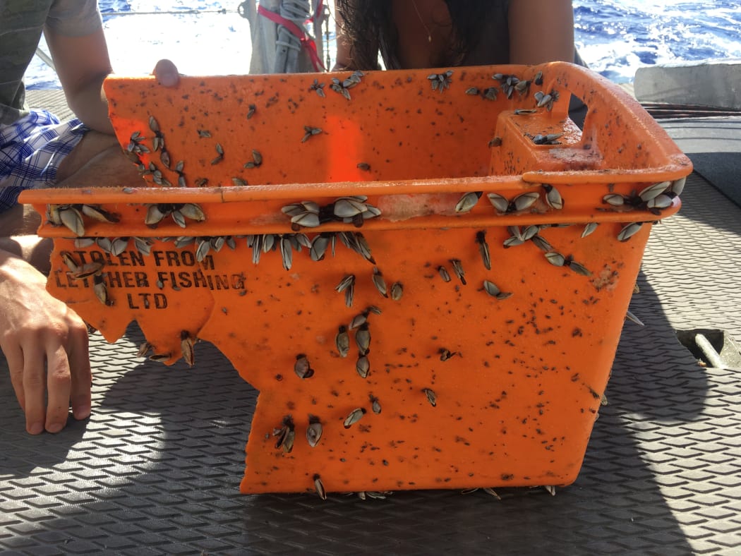 South Pacific garbage patch