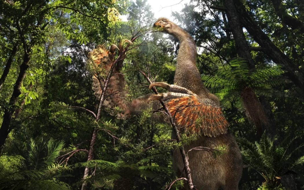 An illustration of what Duonychus tsogtbaatari may have looked like in life, using its huge claws to grasp tree branches.