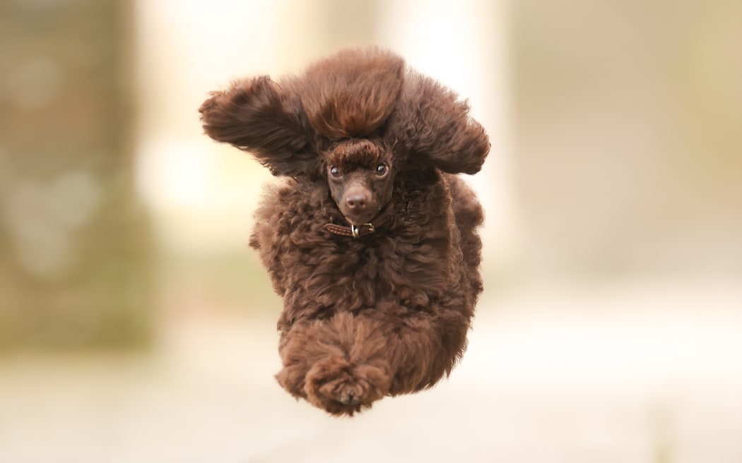 I believe I can fly.