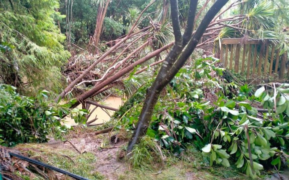 Damage from the severe thunderstorm at Henderson Park, west Auckland.