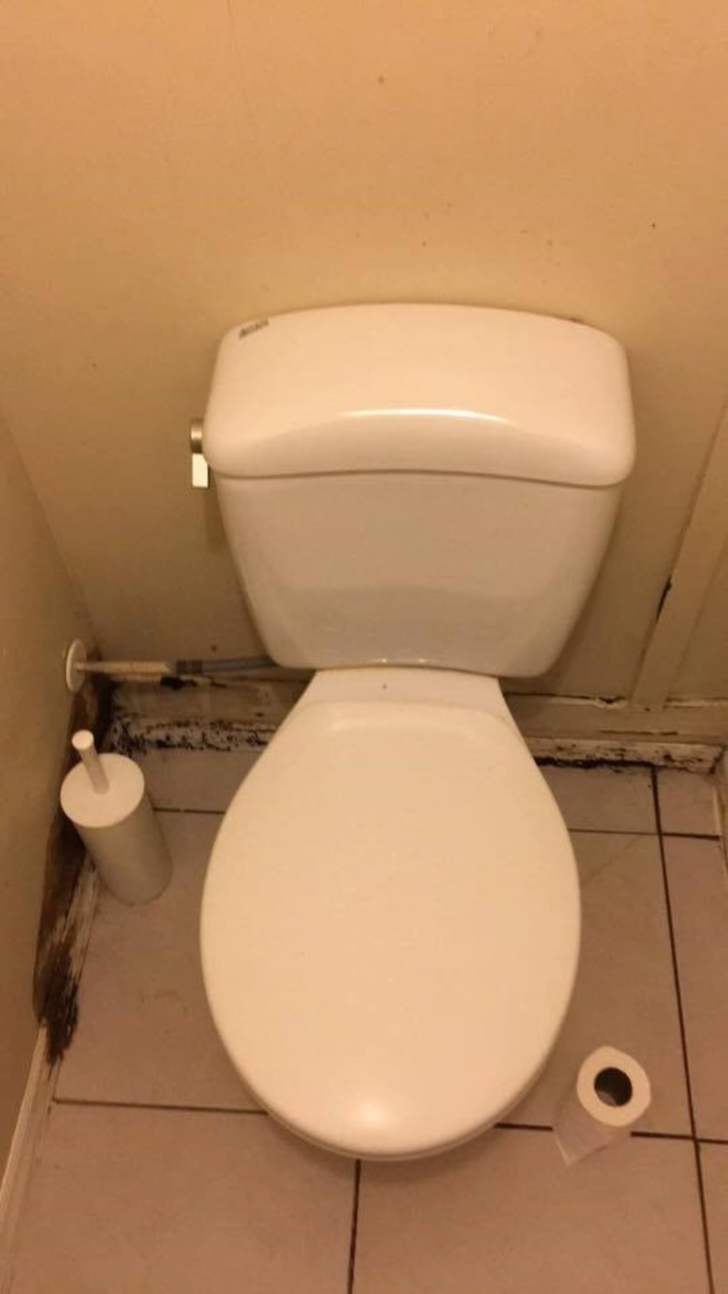 Rotting walls and mould in XX's bathroom