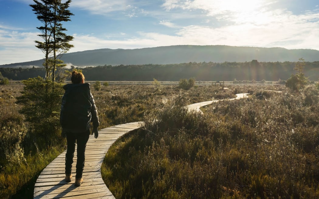 Kepler Track