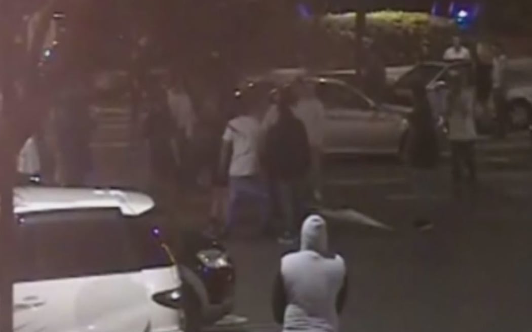 The committee was shown CCTV footage of people littering, urinating and fighting in the carpark.