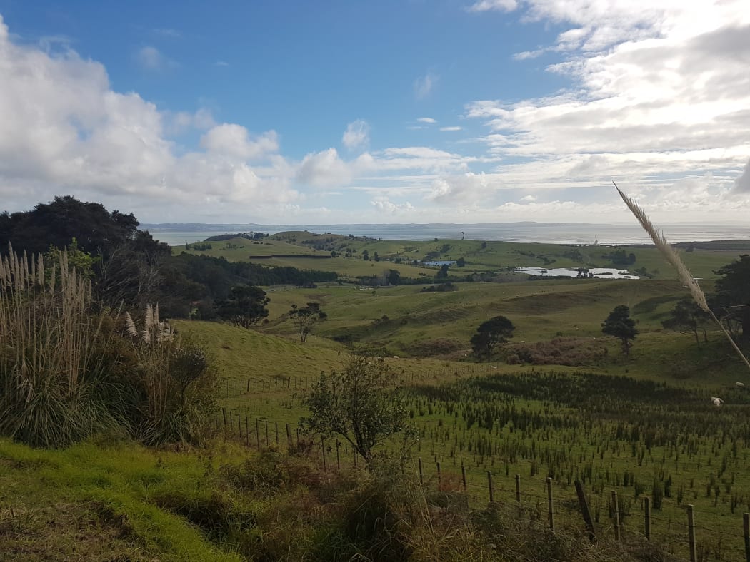 The view west to the Kaipara Harbour from Tuhirangi, with Gibbs' Farm sculptures in the background.