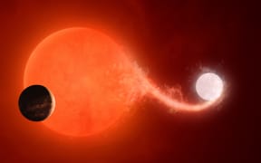 The planet Halla may have once orbited two stars that interacted with one another by mass transfer as depicted. The eventual merger between the stars allowed Halla to escape engulfment and persist around a helium-burning giant star.