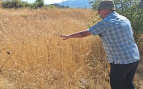 Seed hunter Zane Webber examining potential specimens during the seed collecting mission in Albania.