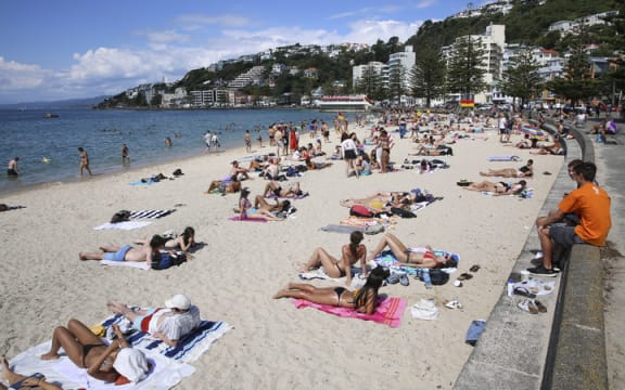 Summer in Wellington