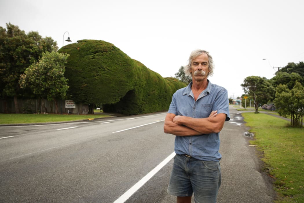 The hedge on Te Moana Road was planted by Vincent Osborne's grandfather in the 1930s, and has been in his family for four generations, neighbors and Kāpiti Coast District Council are concerned it is a traffic hazard. Pictured: Vince Osbourne.