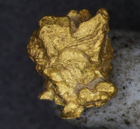 Gold nugget