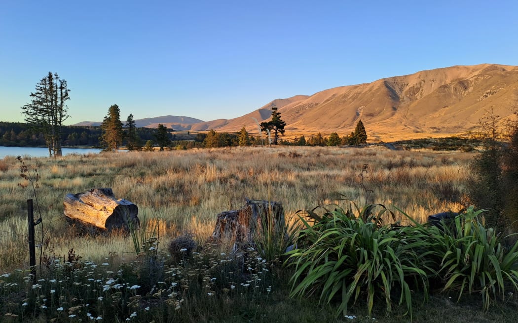 oTAGO