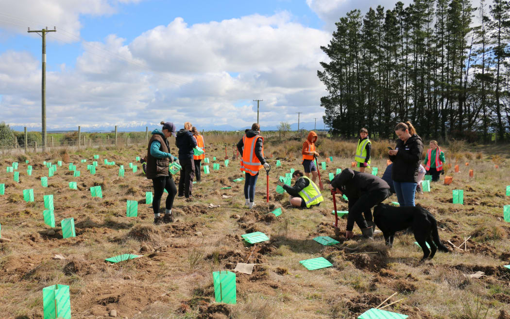 The Eyrewell skink habitat restoration school day