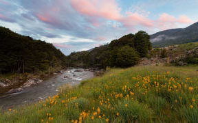 Kahurangi National Park