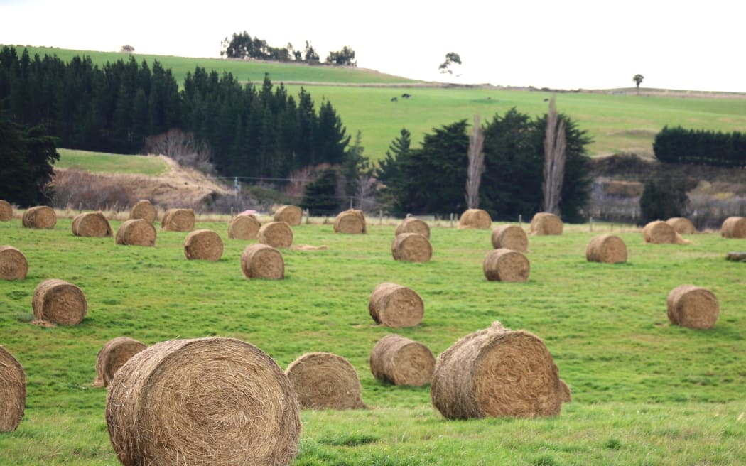 Mark Anderson - Regenerative Farmer in South Otago