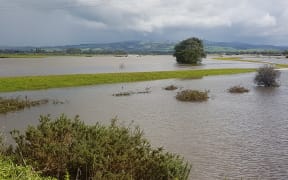 Waitoa river is in flood following Cyclone Cook.