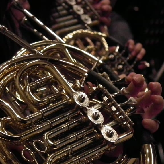 Photo for For love of the ... horn