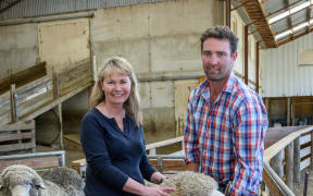 Devold chief executive Cathrine Stange and Armidale stud’s Simon Paterson inspect one the farm’s prime animals.