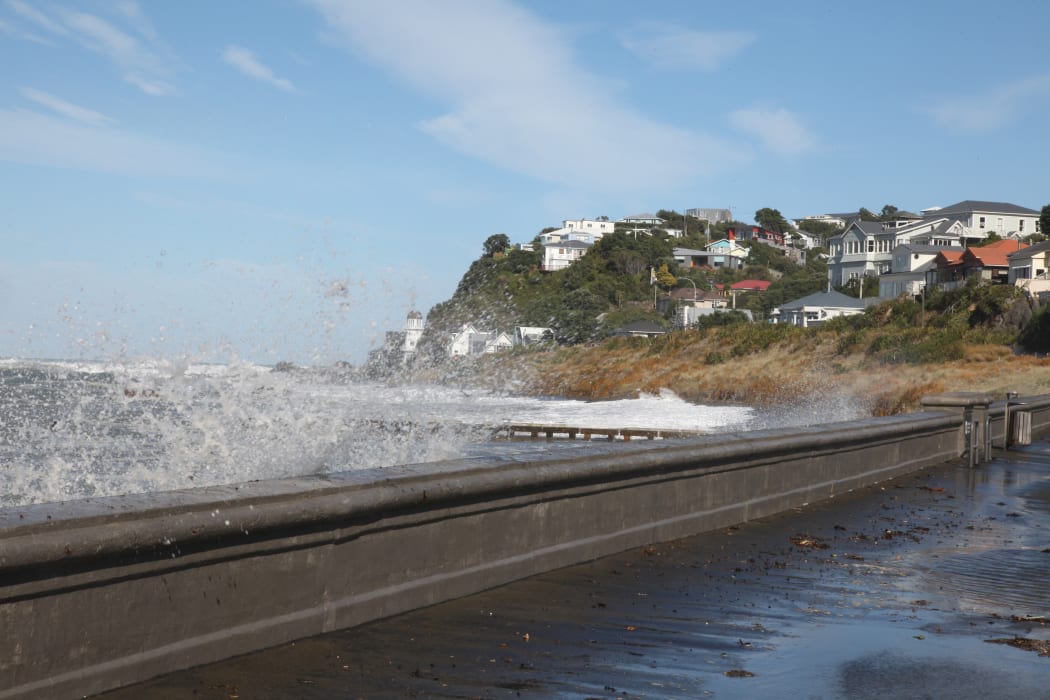 Sea swells Wellington's south coast.