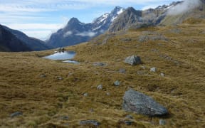 Park Pass in Mt Aspiring National Park