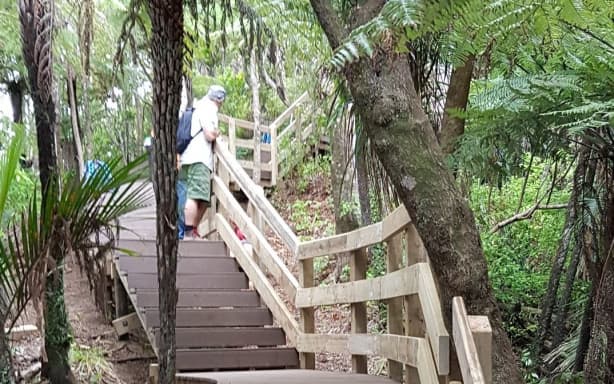 Upgrades unveiled as Waitākere tracks reopen | RNZ