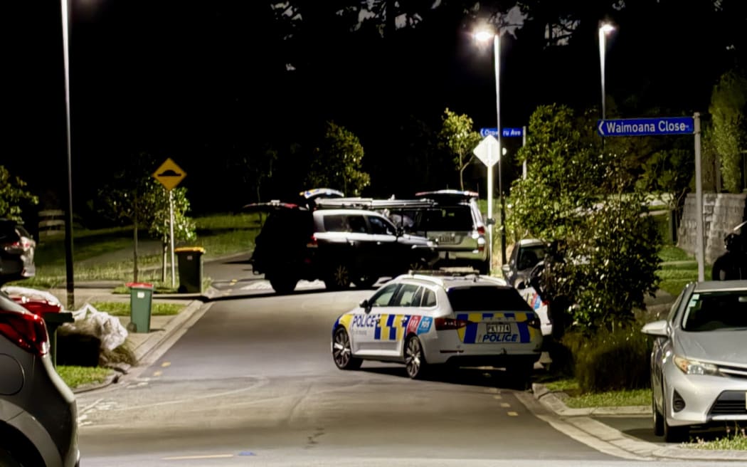 Armed Offenders Squad storm Massey property after man reported with ...