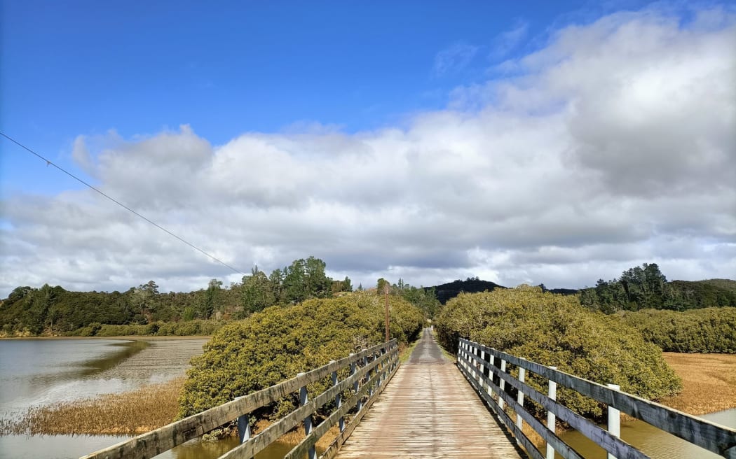 mangroves flank a bridge over the Whangae River, part of the Twin Coasts Cycle Trail