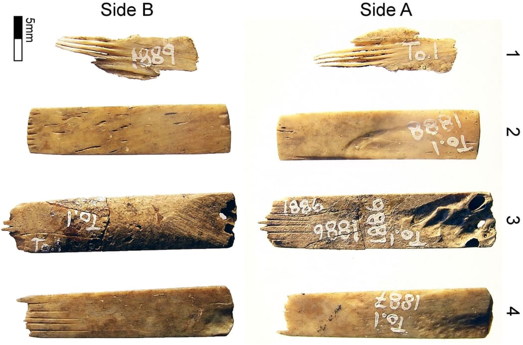 Ancient Tongan tattooing kit