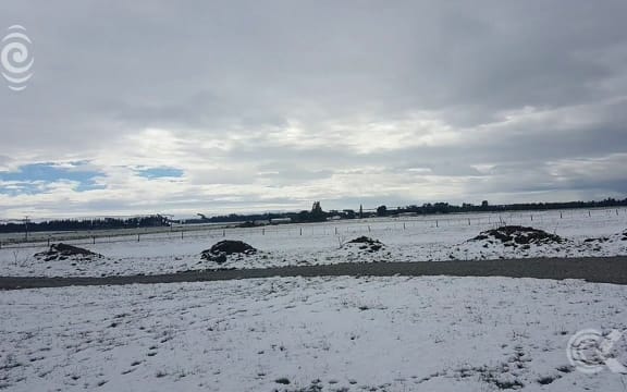Schools shut, power out in parts of South Island after overnight storm