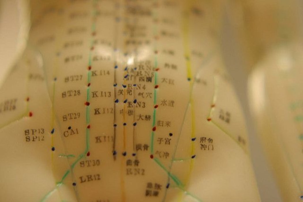 Acupuncture Doll