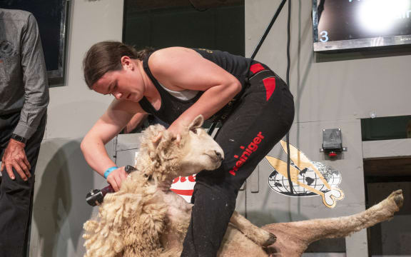 Ashlin Swann shows off her skills at the Golden Shears 2024